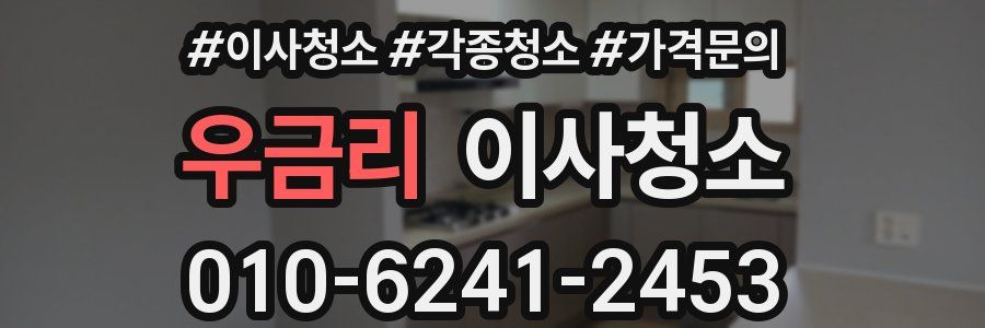 우금리 이사청소