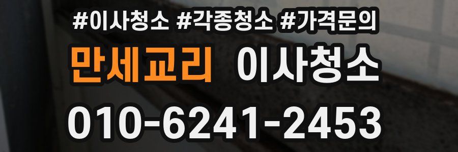 만세교리 이사청소