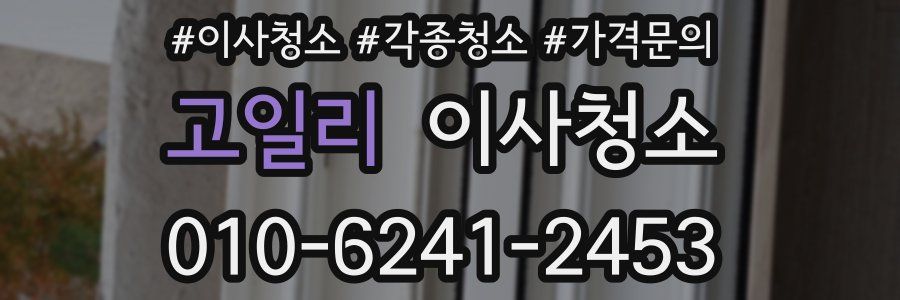 고일리 이사청소