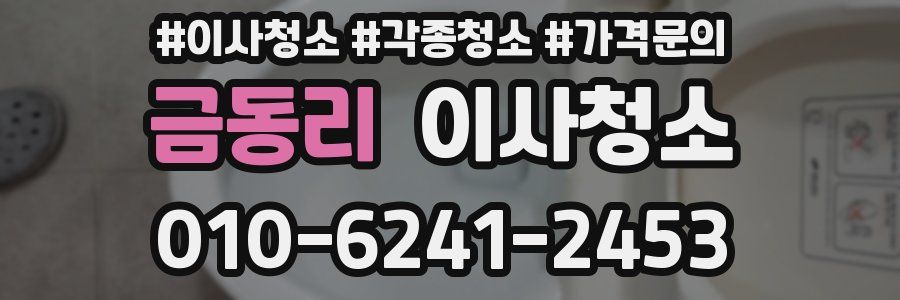 금동리 이사청소