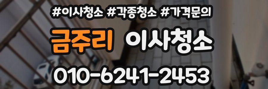 금주리 이사청소