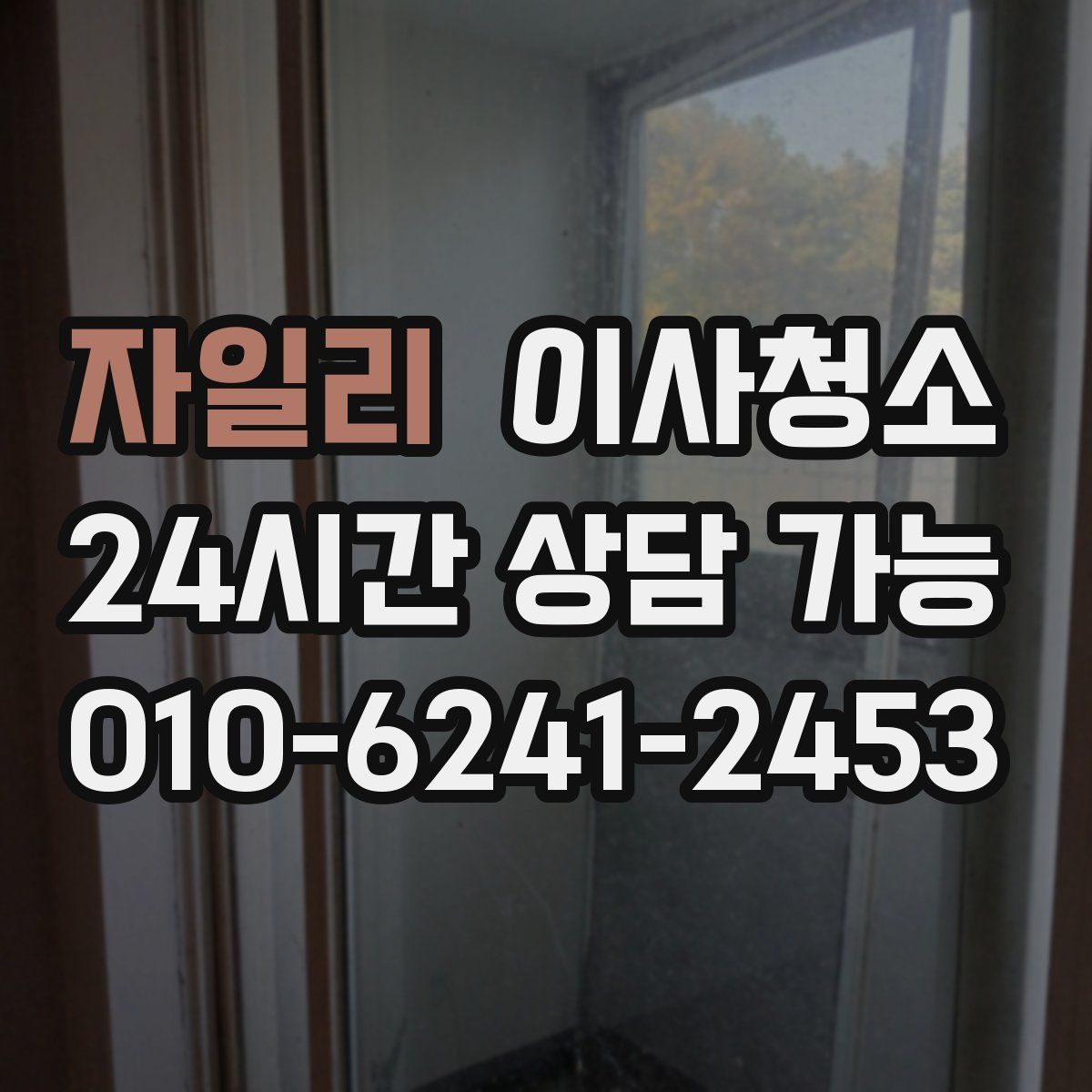 자일리 원룸청소