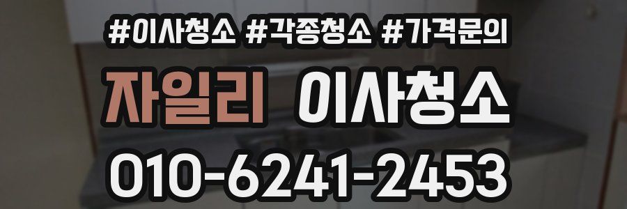 자일리 이사청소