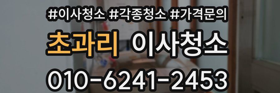 초과리 이사청소