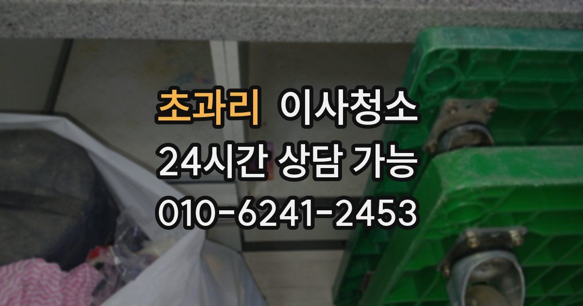 초과리 입주청소