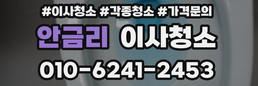 안금리 이사청소