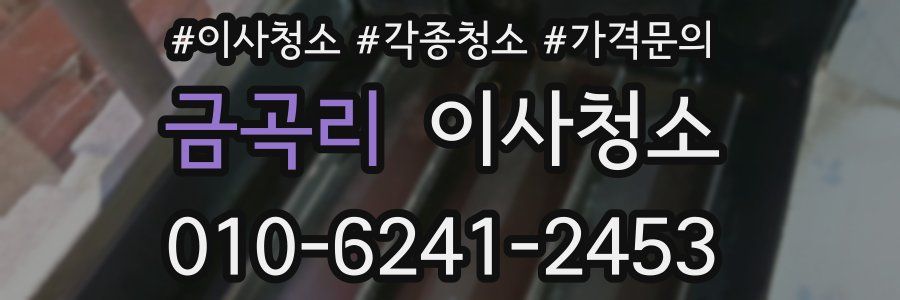 금곡리 이사청소