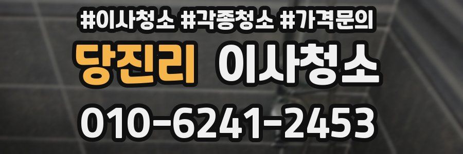 당진리 이사청소