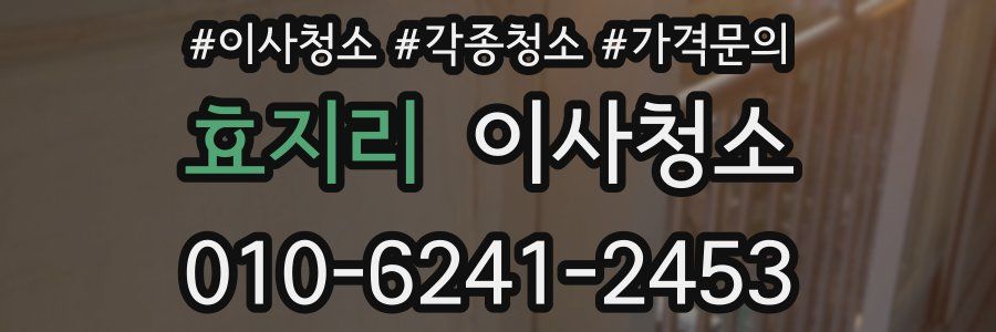 효지리 이사청소