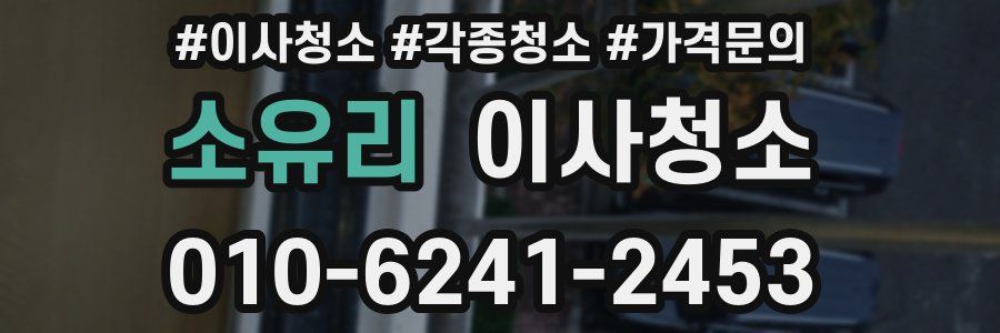소유리 이사청소