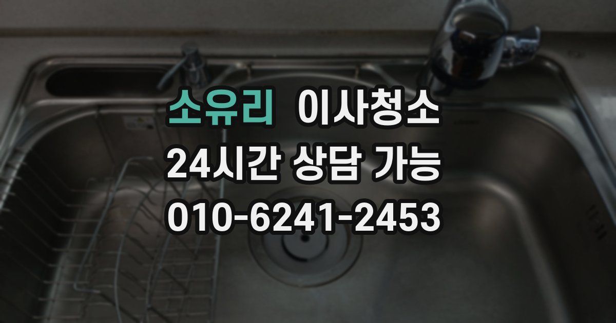 소유리 입주청소