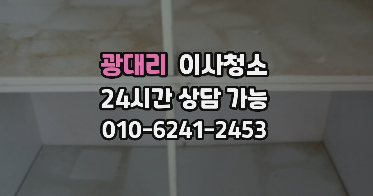 광대리 입주청소