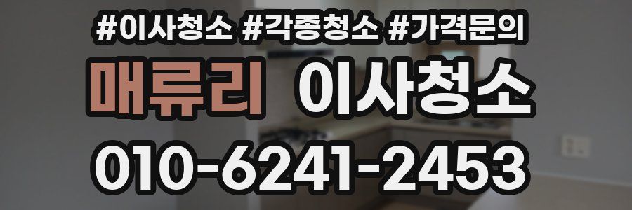 매류리 이사청소