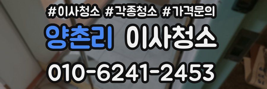 양촌리 이사청소