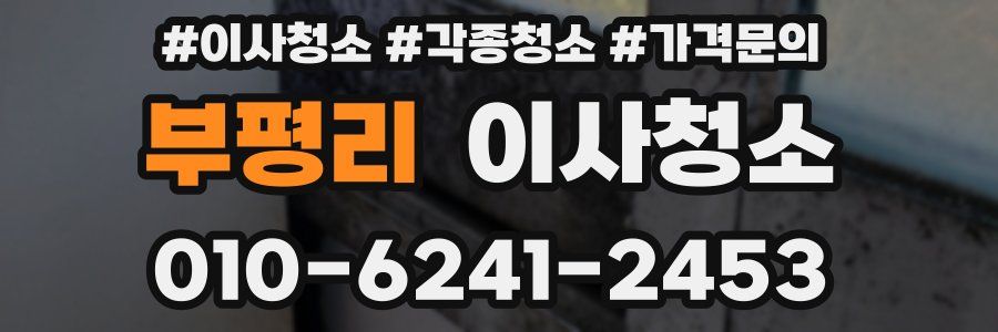 부평리 이사청소