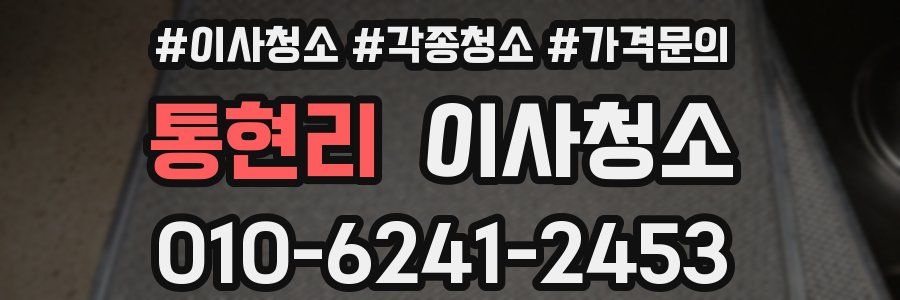 통현리 이사청소