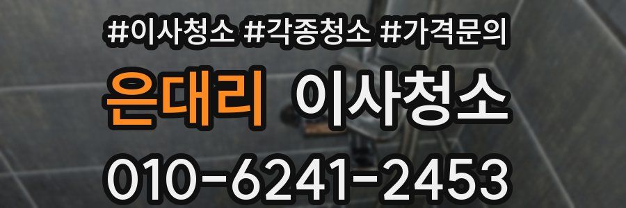 은대리 이사청소