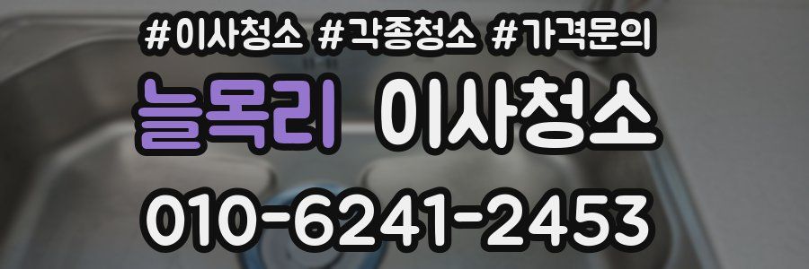 늘목리 이사청소