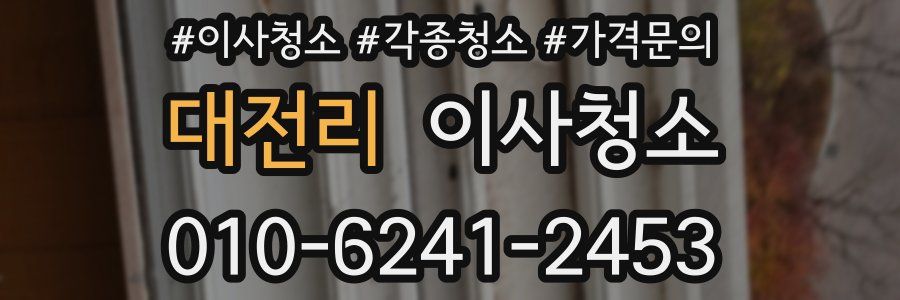 대전리 이사청소