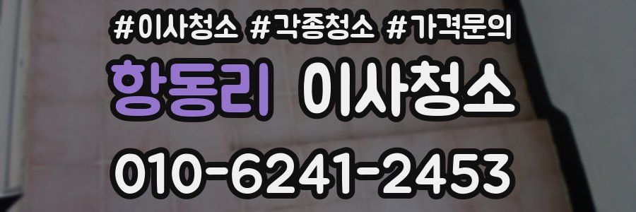 항동리 이사청소