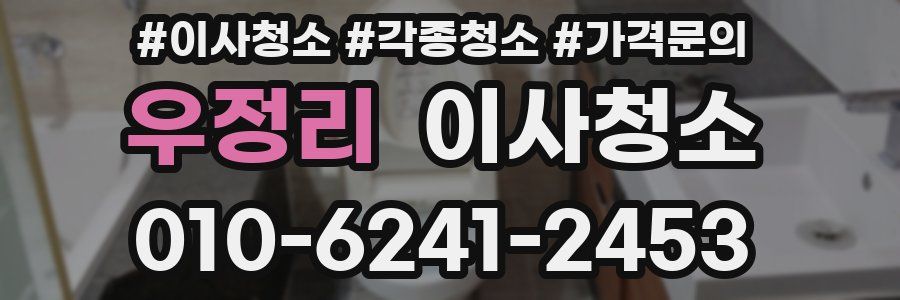 우정리 이사청소