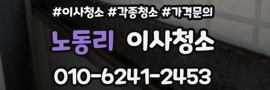 노동리 이사청소