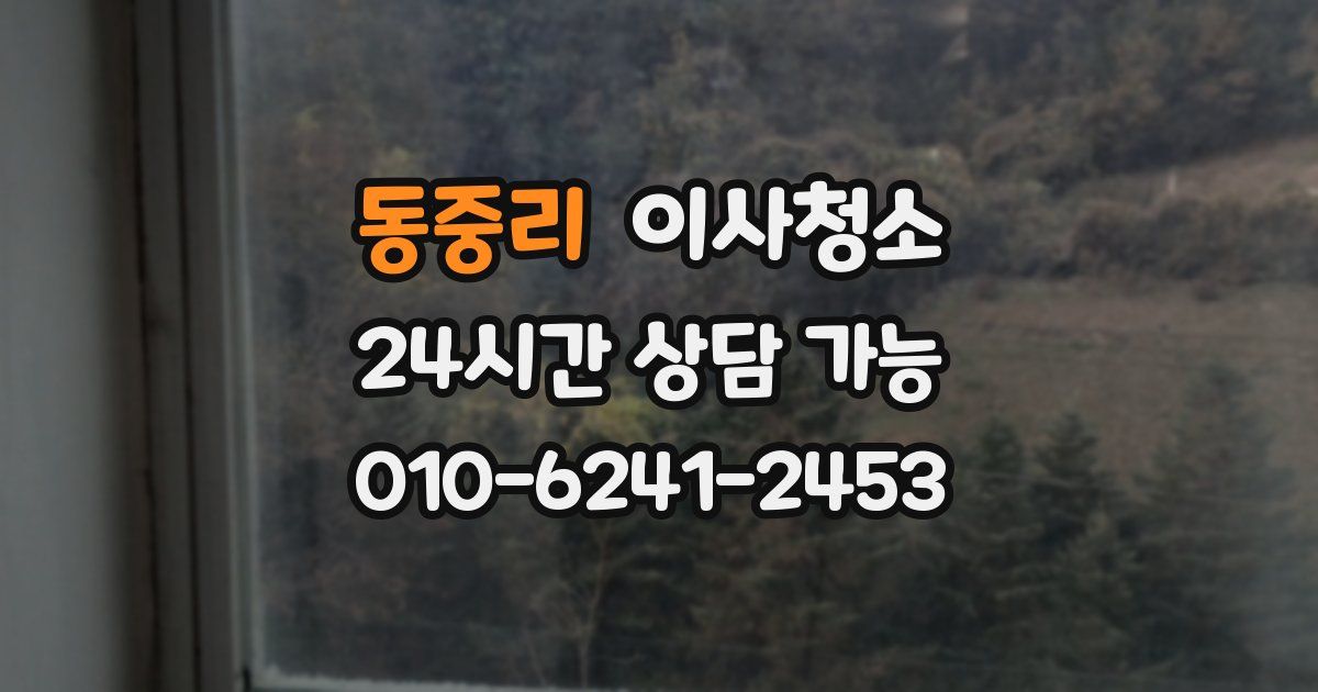 동중리 입주청소