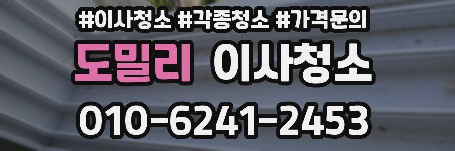 도밀리 이사청소