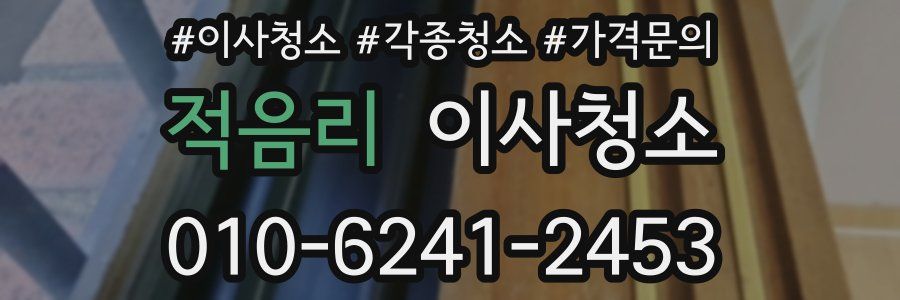 적음리 이사청소