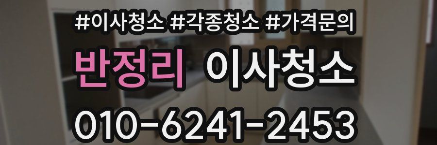 반정리 이사청소