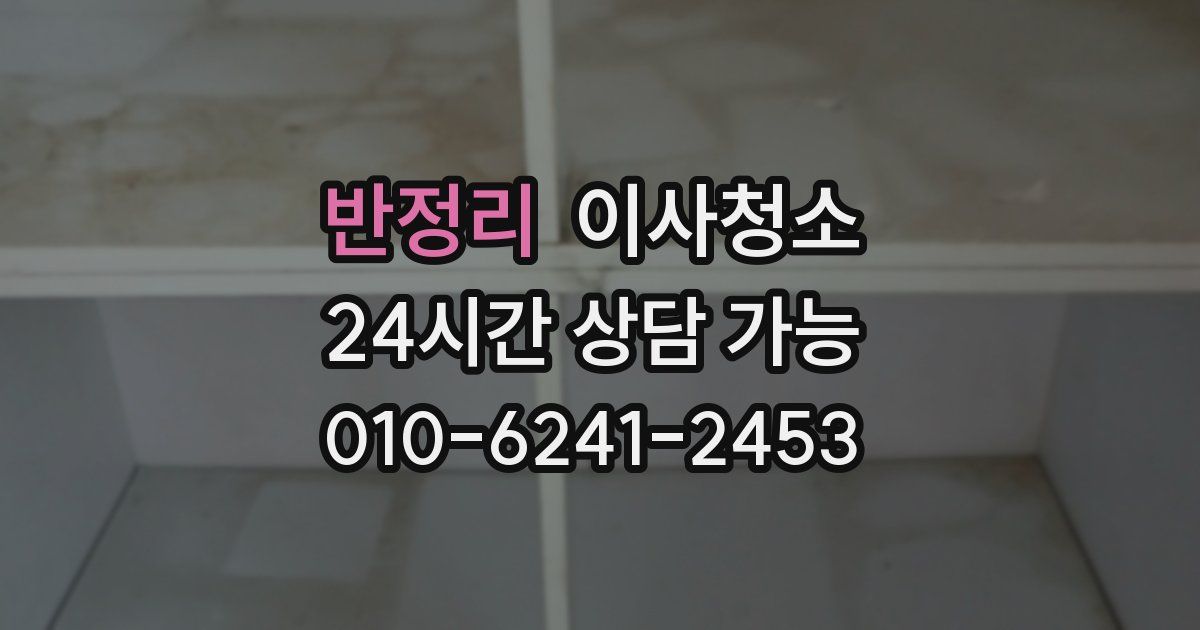 반정리 입주청소