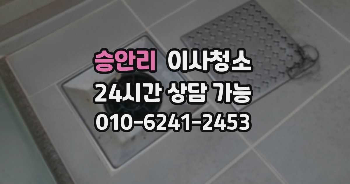 승안리 입주청소