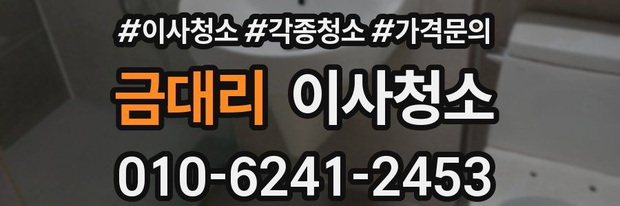 금대리 이사청소