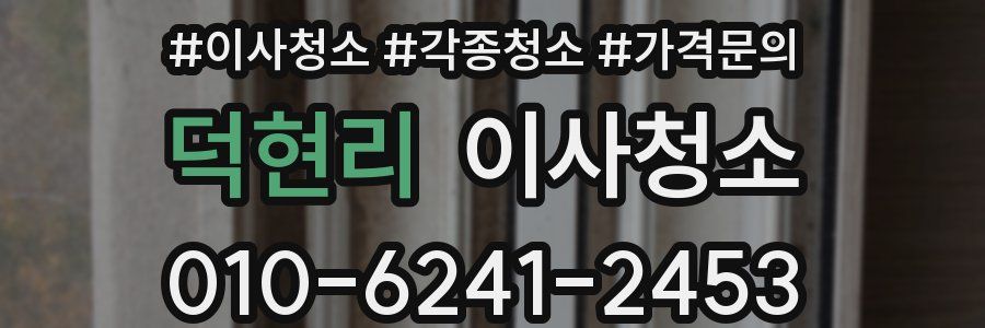 덕현리 이사청소