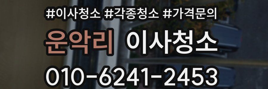 운악리 이사청소