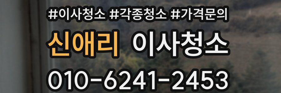 신애리 이사청소