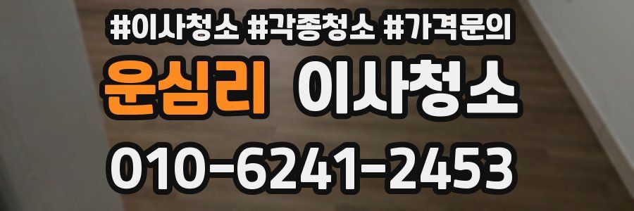 운심리 이사청소