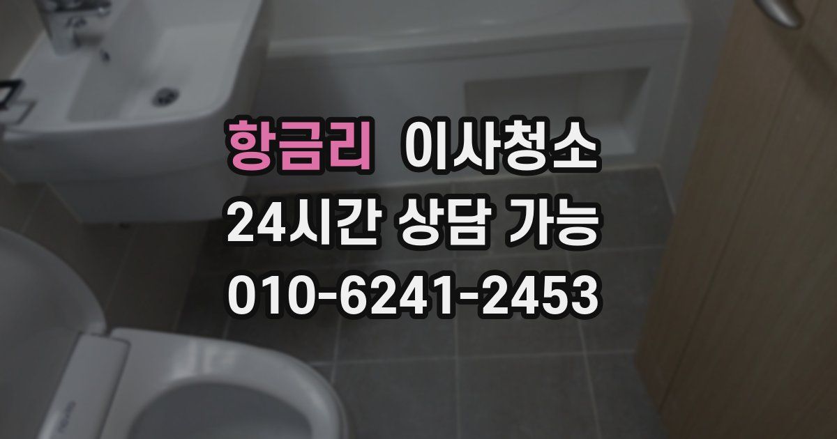 항금리 입주청소