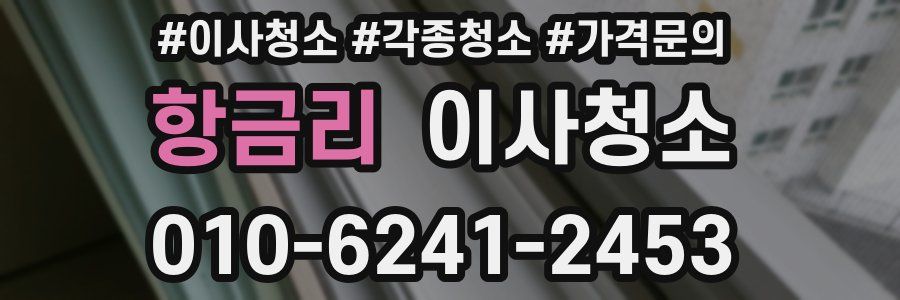 항금리 이사청소