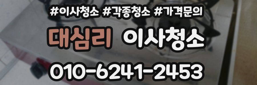 대심리 이사청소