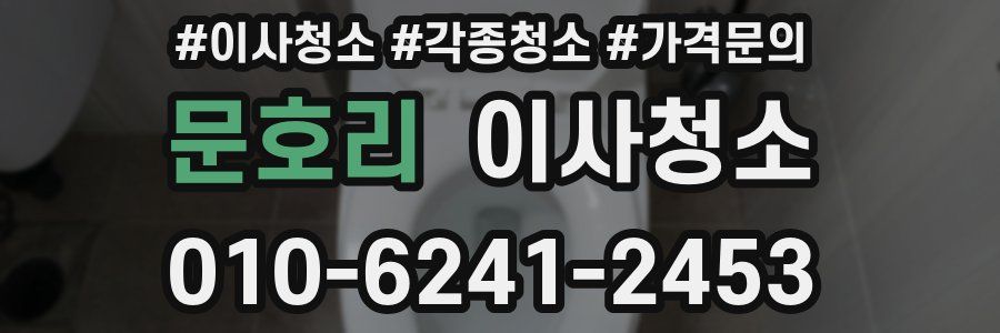문호리 이사청소