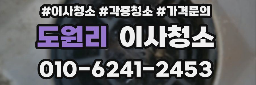 도원리 이사청소