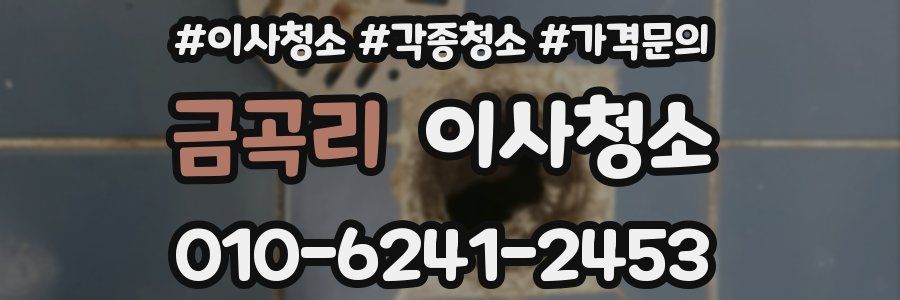 금곡리 이사청소