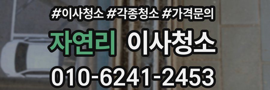 자연리 이사청소