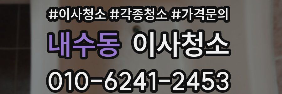 내수동 이사청소