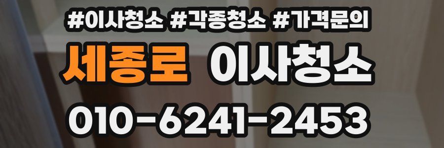 세종로 이사청소