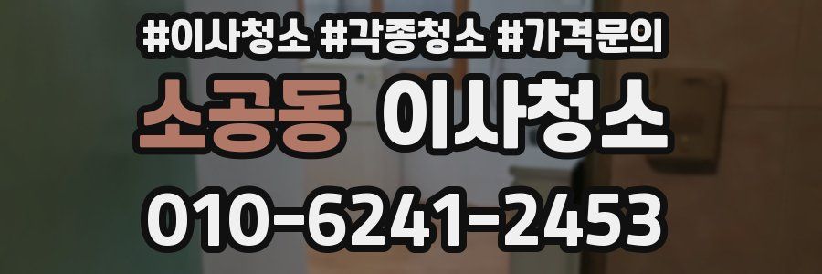 소공동 이사청소
