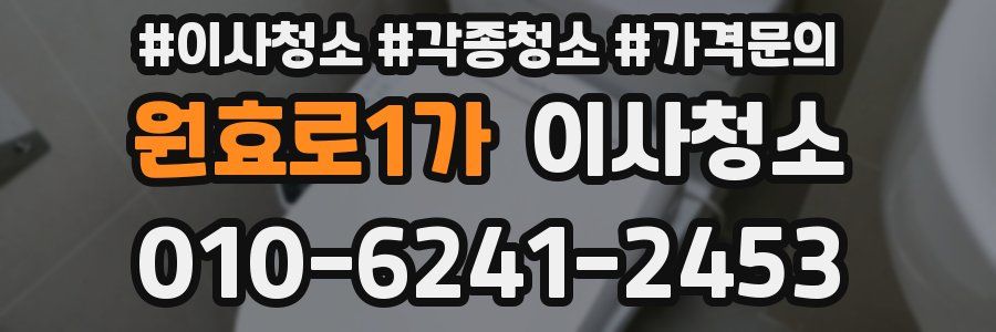 원효로1가 이사청소