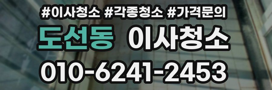 도선동 이사청소