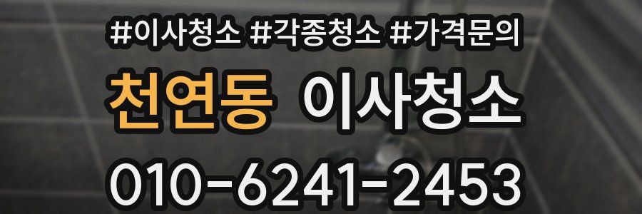 천연동 이사청소